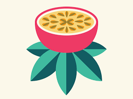 Passion Fruit Passion Fruit Fruit Illustration Fruit Logo