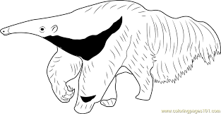 Click on your favorite anteater coloring picture to print & color. The Mighty Giant Anteater Coloring Page For Kids Free Anteater Printable Coloring Pages Online For Kids Coloringpages101 Com Coloring Pages For Kids