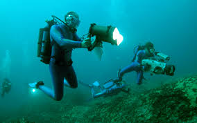 Career In Oceanography Courses Admission Jobs Salary In 2020 Marine Biology Jobs Marine Biology Biology College