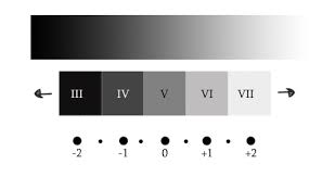 Understanding Using Ansel Adams Zone System