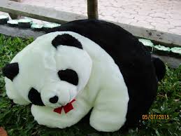 Status wa yg bikin semangat. Jual Bantal Boneka Panda Uk Sedang Lucu Unik Deetamas Boneka Panda Paling Lucu 2048x1536 Wallpaper Teahub Io