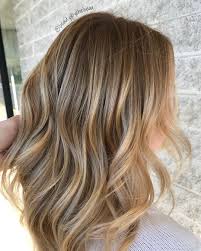 30 Likes 1 Comments Chelsea Puchino Beautyybychelseaa On Instagram Painted Refreshed Used Her Natura Brown Blonde Hair Light Brown Hair Balayage Hair