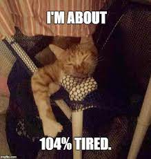 Pin On Animal Pictures With Captions