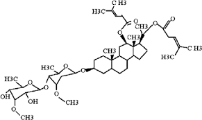 Image result for Fagonia isotricha