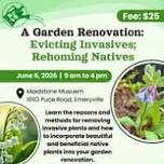 Garden Renovation: Evicting Invasives; Rehoming Natives