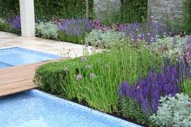 The Italian Job Garden By Garden Designer Jack Dunckley A Garden Based On The Simplicity Of Geometry And Is Inspired By A Combination Of Contemporary Garden Design Modern Garden Design