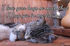 The shortest distance between friends is their hugs. I Love Your Hugs So Much That I Hug You In My Dreams Purelovequotes