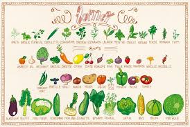 Fruits Et Legumes De Saison Pour Juillet Par Claire Sophie Lozia Moestuin