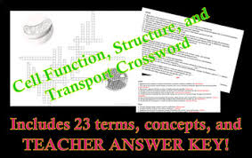 Crossword puzzle on cell structure and function. Cell Function Puzzle Worksheets Teaching Resources Tpt