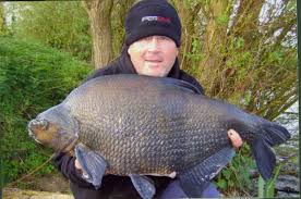 Huge bream captured