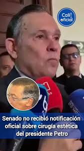 El presidente del Senado, Efraín Cepeda, confirmó que el mandatario Gustavo  Petro jamás informó al Congreso de que se sometería a una cirugía en la que  supuestamente estaría bajo sedación. “Eso dicen ...