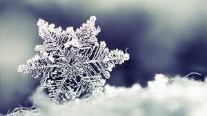 If only you had your own plow to move that snow off your driveway. The Coolest Snow Facts
