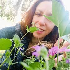 Holistic Healing Summit