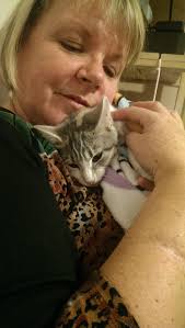 Would just like to say thank you much to susan greig for brining our we cat  pippa home she's just having something to eat now