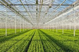 We did not find results for: The Applicational Benefits Of Polycarbonate Sheets Acme Plastics