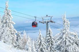 Families, health officials, retailers and airlines all start participating in one of the busiest times of the year t. Kerstvakantie 2021