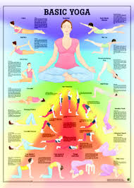 Basic Yoga Anatomical Chart