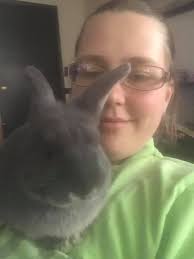 Is alfalfa hay bad for bunnies?