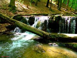 Encuentra información sobre turismo en pécsvárad y lee opiniones sobre actividades, atracciones, restaurantes y hoteles. Vizeses Obanyai Volgy Little Waterfall Mapio Net