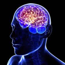 A lie detector machine is not accurate in detecting lies, just in measuring reactions. Liar Liar Brain On Fire News Communications Of The Acm