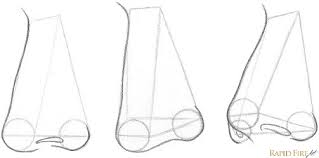 How to draw a male anime face looking diagonaly. 7 Steps To Draw Noses From The 3 4 View Rapidfireart