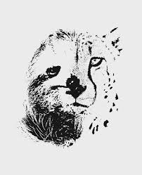 Slowest And Fastest Art Slow