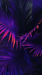 When you purchase through links on o. ÊÉªÊÉ¢Êá´É¢ÉªÊÊ Neon Wallpaper Aesthetic Iphone Wallpaper Dark Purple Wallpaper