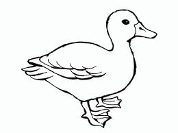 The zoo animal coloring book has 16 coloring pages featuring many animals common to zoos. Animal Templates Free Premium Templates Animal Coloring Pages Bird Coloring Pages Animal Templates
