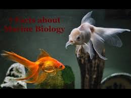 In these biology trivia questions and answers, we uncover fascinating things you might know about the human … Marine Biology Trivia Detailed Login Instructions Loginnote