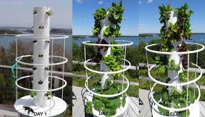 New England Aeroponic Tower Gardens Tower Garden Vertical Garden Vertical Planter