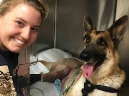 Fundraiser by Nicholas M. Gianopoulos : Love4Leo