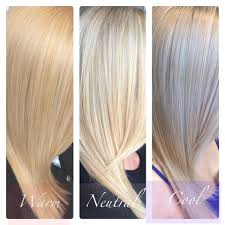 Warm Vs Neutral Vs Cool Blonde Cool Blonde Hair Warm Blonde Hair Cool Blonde Hair Colour