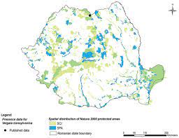 Tipurile de drum sunt importante atât pentru rutare cât și pentru afișarea hărții: Distribution Of The Genus Veigaia Mesostigmata Veigaiidae In Romania With Notes On The Species Ecology