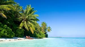 We did not find results for: Hd Windows 10 Wallpaper Maldives Nature Palm Tree Beach 1920x1080 Wallpaper Teahub Io