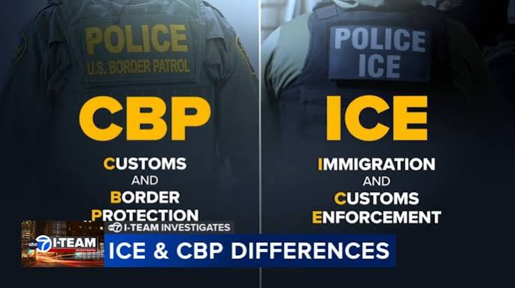 Department of Homeland Security draws contrast between ICE and Border Patrol,  immigration enforcement in federal court - ABC7 Chicago
