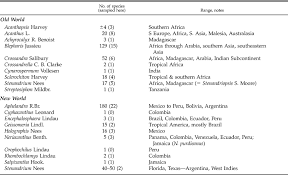 Image result for Sclerochiton hirsutus