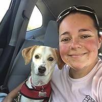 Son of Sam Was My Catcher and Other Bronx Tales by Ian Lowell