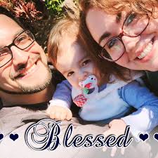 What are some affordable tree trimming services in Lakeland?