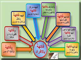 pin on تأملات في المتشابهات