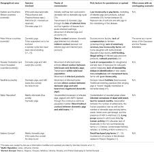 It has been found that bacteria that causes gum. Frontiers African Swine Fever Lessons To Learn From Past Eradication Experiences A Systematic Review Veterinary Science