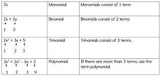 Classification Of Polynomials Polynomials Factoring Polynomials Like Terms