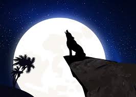 Cambio Masivo De Energia Luna Nueva En El Horoscopo Aries Para Cada Signo Del Zodiaco Wolf Wallpaper Wolf Kids Wolf Images