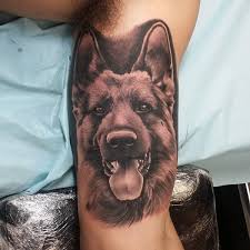 Black And Grey Dog Tattoo Black And Grey German Shepherd Portrait By Jon Tran Dog Germanshepherd Blackandgrey Realism Jontr German Shepherd Tattoo Dog Tattoos Dog Memorial Tattoos