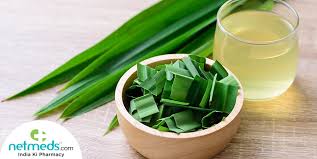 Please note that the pandan plant is native to tropical asia and even parts of australia. Pandan Leaves Health Benefits Nutritional Values Therapeutic Uses Dosage And Side Effects