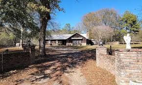 Image result for magnolia genia