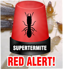 Proudly serving miami and the surrounding areas. Termites Info Termites Control Miami