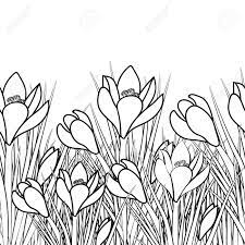 Also, find more png about free spring flowers black and white png. Spring Postcard With White Crocus And Black Stroke Early Spring Royalty Free Cliparts Vectors And Stock Illustration Image 78009687