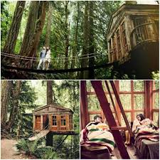 Treehouse Point Seattle Washington Treehouse Point Tree House Pool Houses