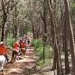 WEEKEND CAMP: Friday – Sunday I Horse Riding  event image