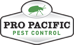 Orange coast pest control offers superior pest control services in corona, riverside, and the surrounding areas. 1 Pest Control California Starting At 1 Per Day